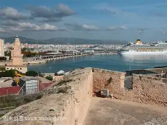 趣味预测-铿锵有力的铮铮誓言表达出