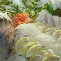 热血对决,北部代表队凭借团队合作夺魁的简单介绍 热血对决,北部代表队凭借团队合作夺魁的简单介绍